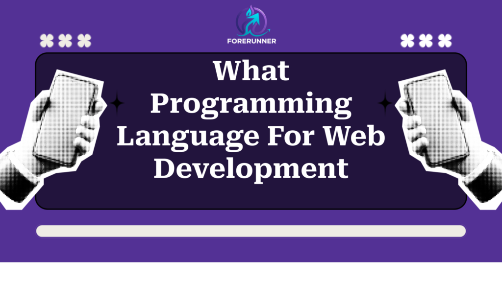 What Programming Language For Web Development